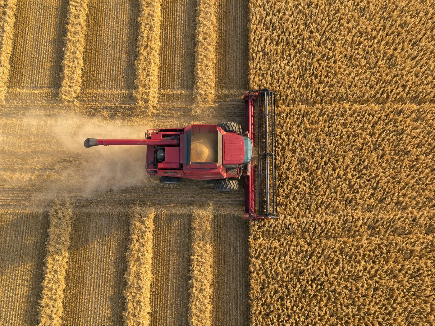 Harvest work in an agricultural field