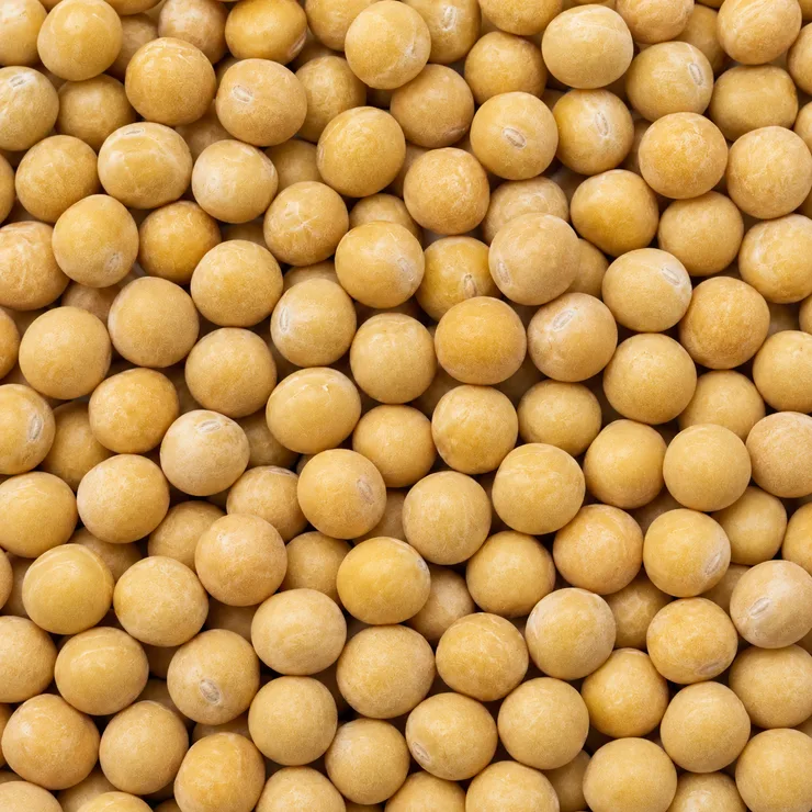 Whole yellow peas with intact seed coats